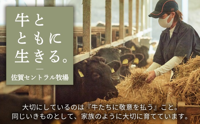 ビーフジャーキー ジャーキー 佐賀県 佐賀 国産牛 牛肉 赤身肉 保存料不使用
