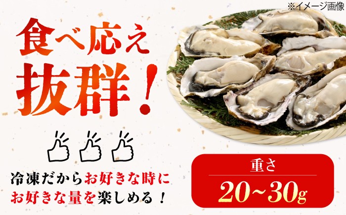 牡蠣 かき カキ むき身 冷凍牡蠣 広島牡蠣 オイスター kaki 広島県産