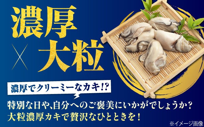 牡蠣 かき カキ むき身 冷凍牡蠣 広島牡蠣 オイスター kaki 広島県産