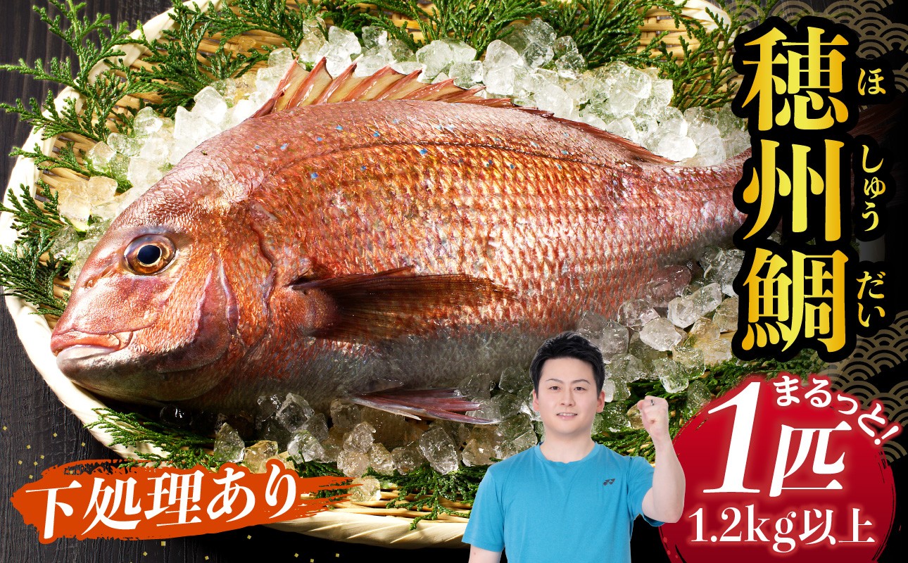 渡邊水産 穂州鯛（下処理あり）