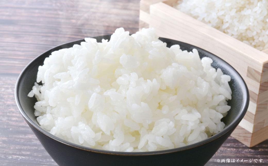 【令和7年産】岡山県産コシヒカリ10kg（5kg×2袋）