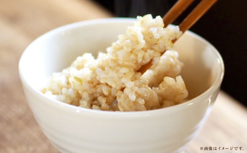 【 令和7年産 】 岡山県産きぬむすめ早炊き玄米10kg（2kg×5袋）
