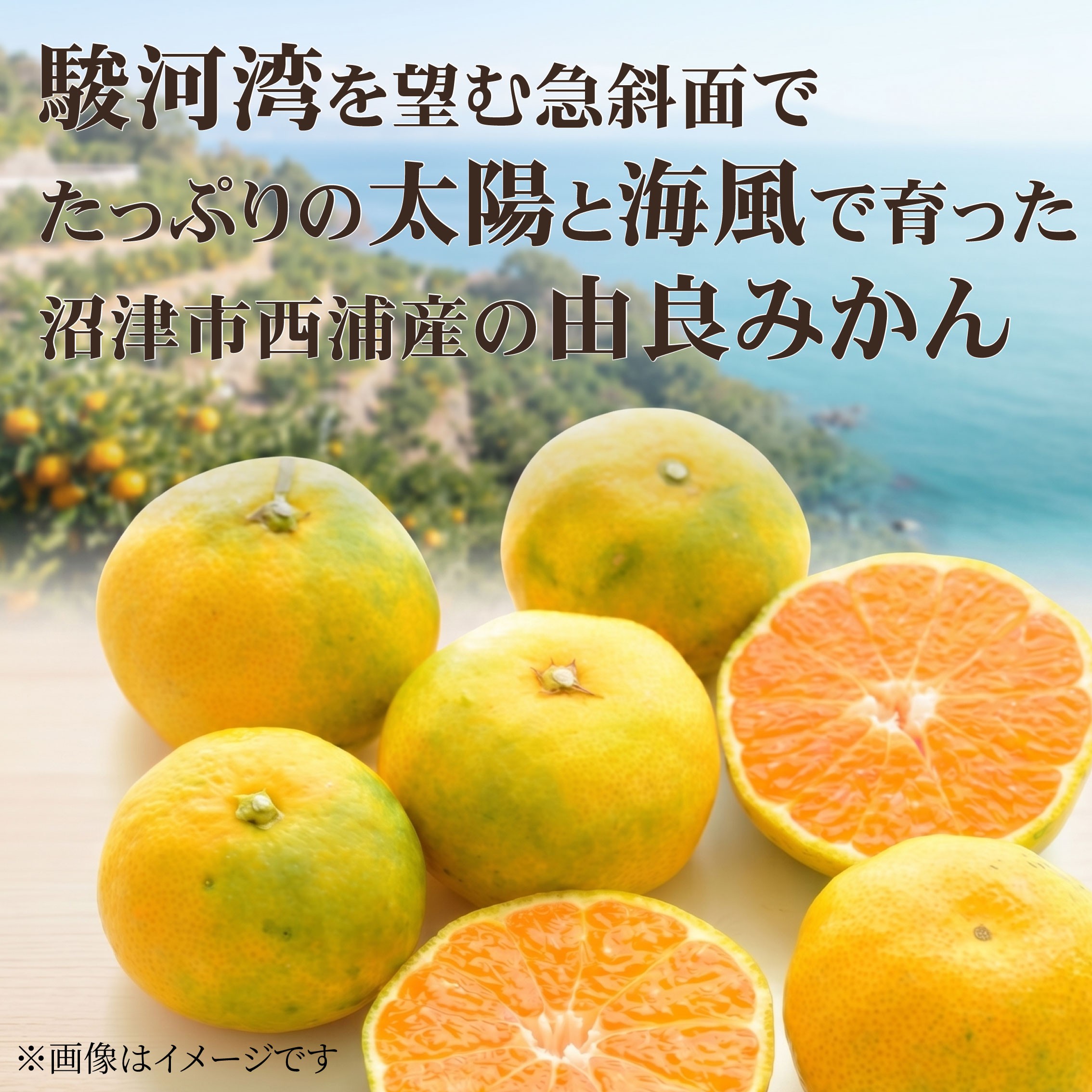 小さいお子さんに大人気！
