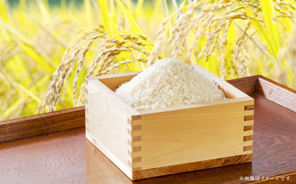 【令和7年産】岡山県産コシヒカリ10kg（5kg×2袋）