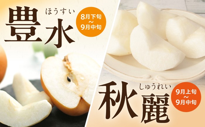 梨 ナシ なし フルーツ 果物