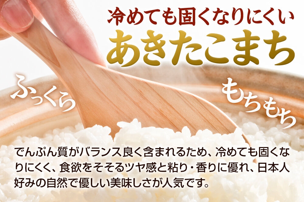 令和8年産新米受付》あきたこまち10kg（5kg×2袋）【定期便11ヶ月