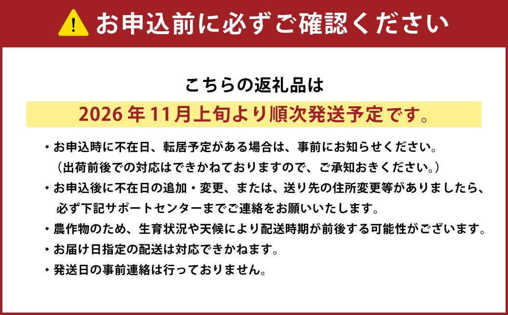 おとふけ産マンゴー「白銀の太陽」Mサイズ×1玉