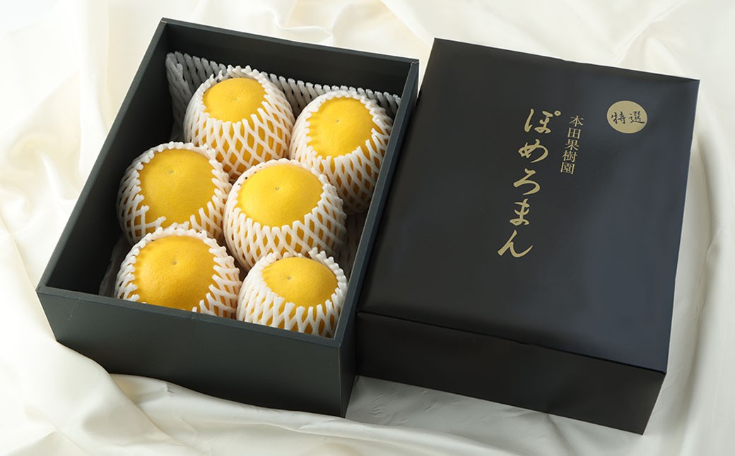 特選 ぽめろまん 5～6玉 化粧箱入 1玉あたり 約500g～600g