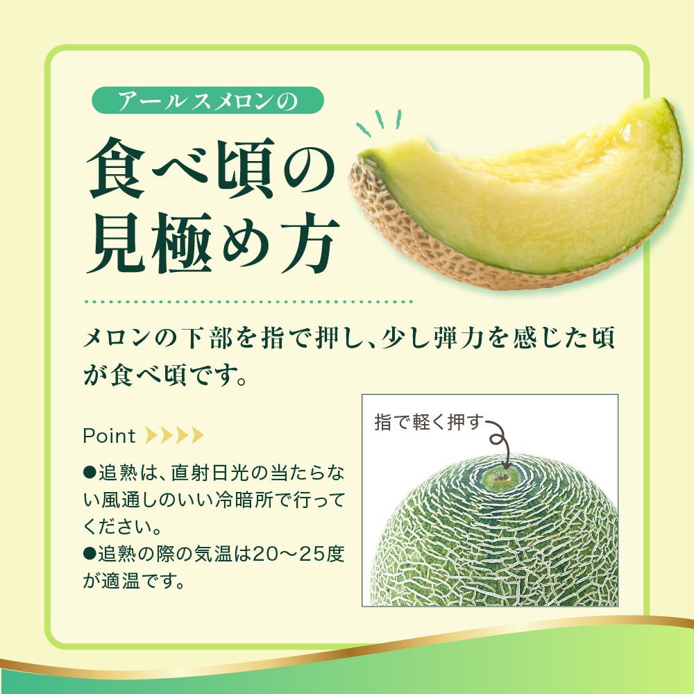 写真はイメージです