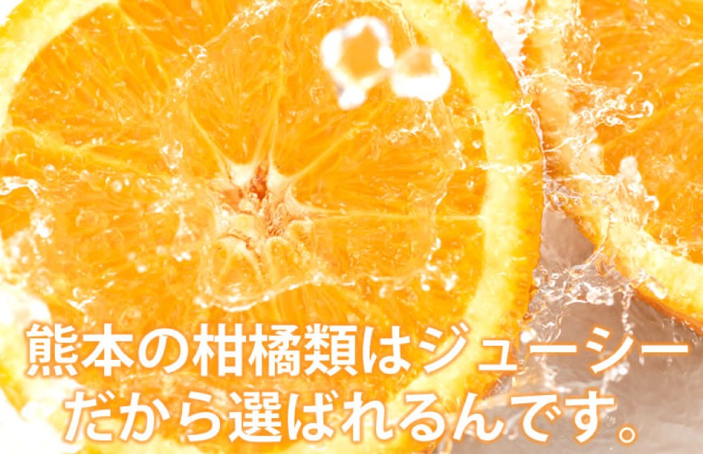 訳ありみかん 約5kg