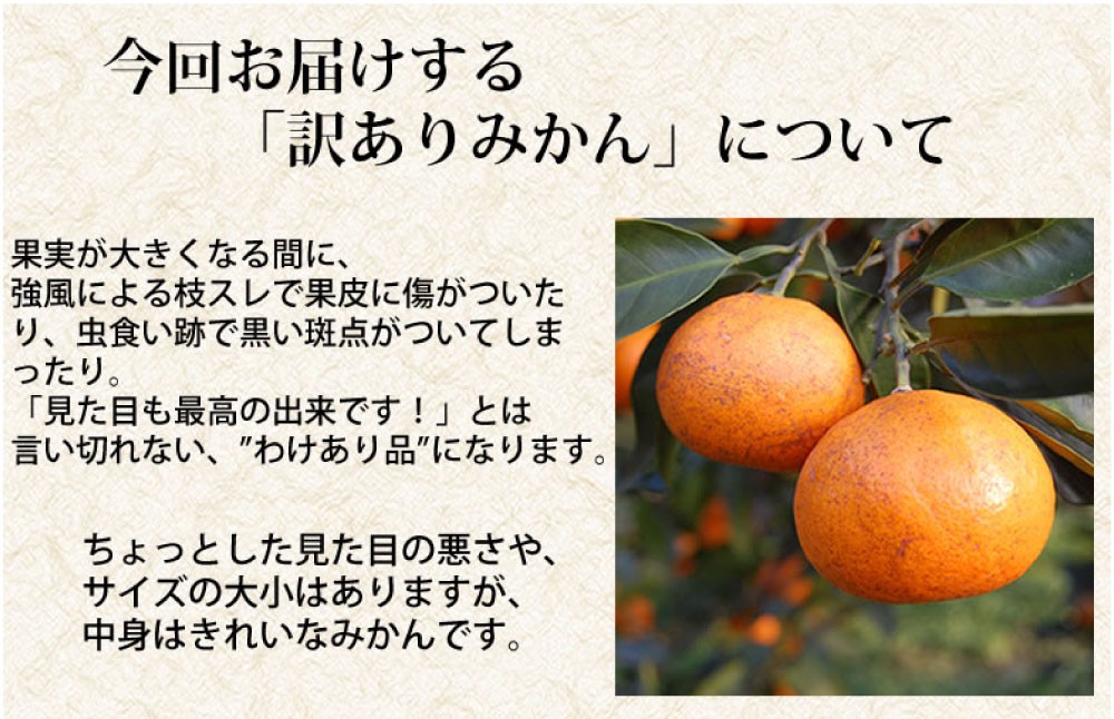 訳ありみかん 約5kg