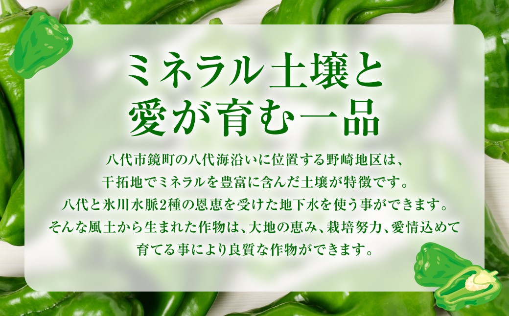 ミネラル土壌と愛が育む一品