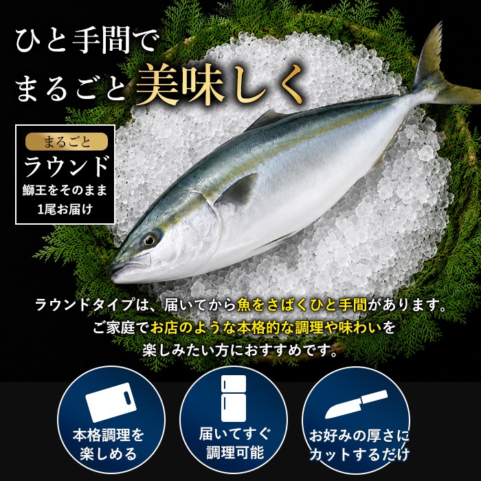鰤王とは？