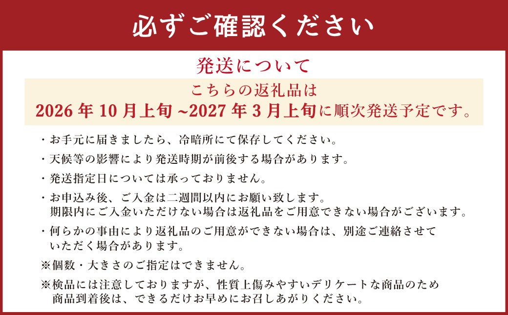 訳あり みかん 計10kg