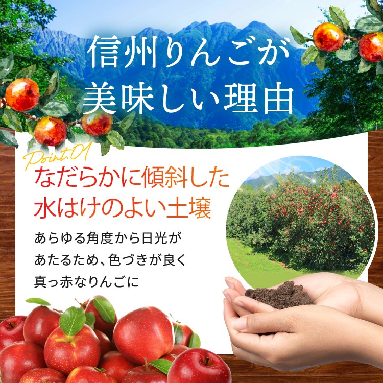 甘味と酸味のバランスが絶妙で人気のりんごです。