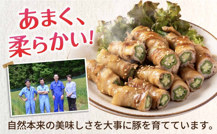 豚肉 小間切れ 豚バラ 薄切り スライス バラ肉 薄切り肉 バラ 小分け 冷凍 国産 パラパラ 白川町