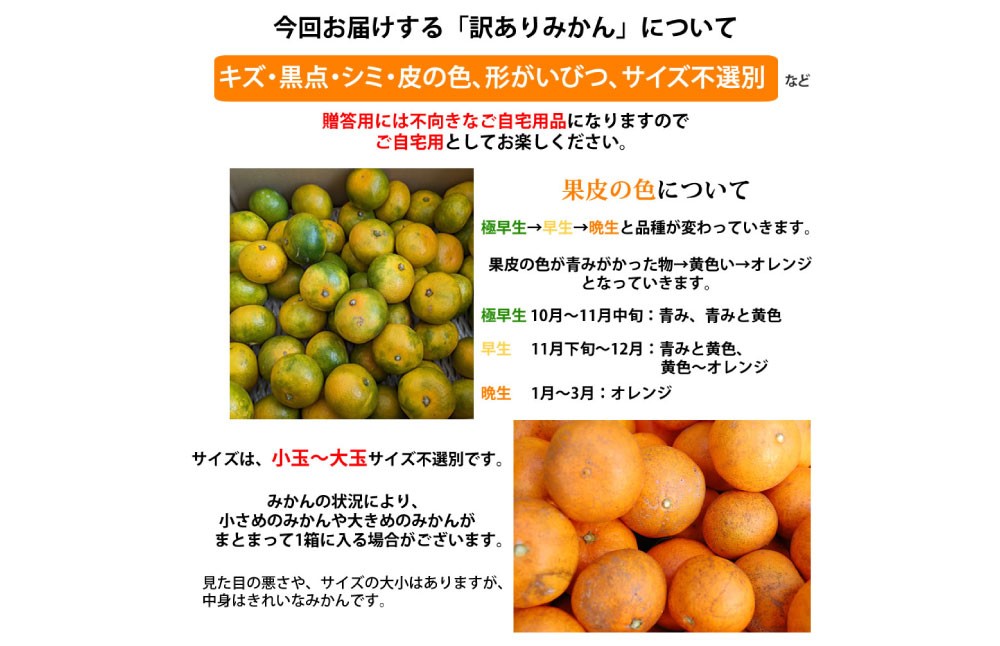 訳ありみかん 約5kg