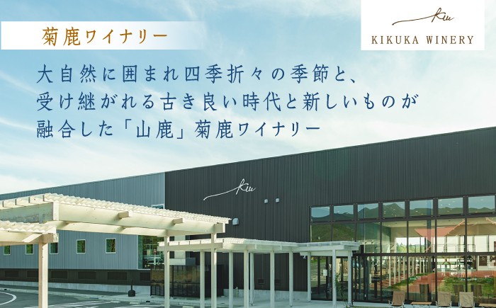 酒 お酒 ワイン 熊本県 特産品 送料無料 ブドウ ぶどう 熟成 限定 白 20000 2万円 2万 20000円