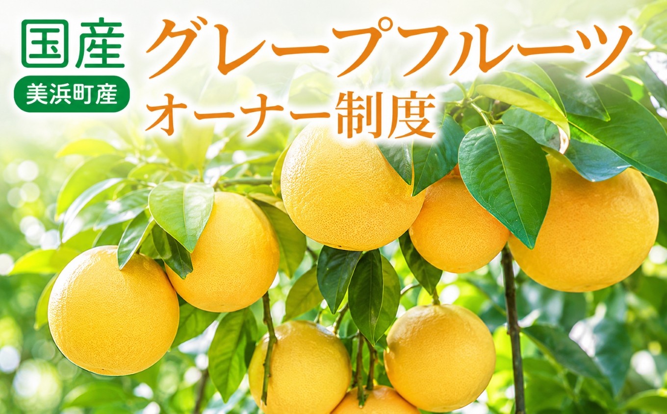 国産（美浜町産）グレープフルーツオーナー制度