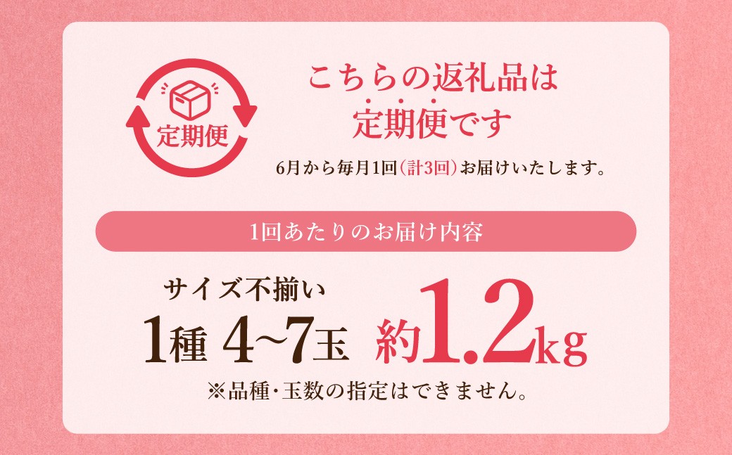 訳あり岡山白桃1.2kg以上サイズ不揃い