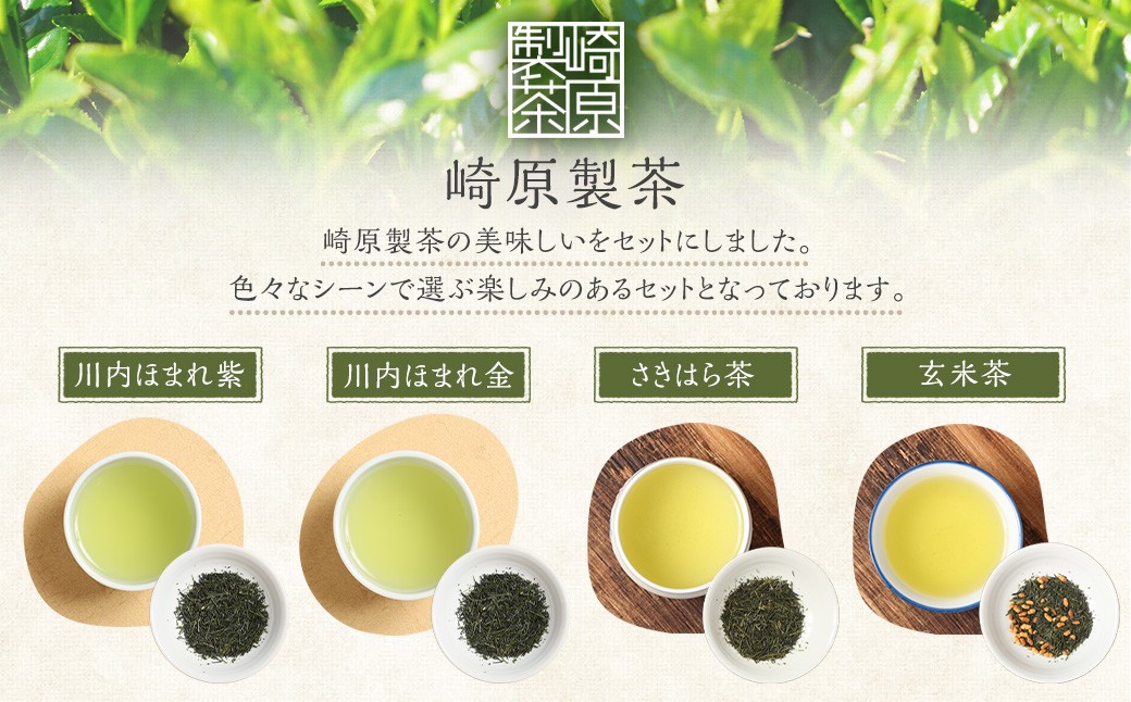 【お試し用】崎原製茶 ST1-12（12種セット）