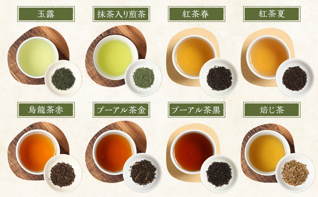 【お試し用】崎原製茶 ST1-12（12種セット）