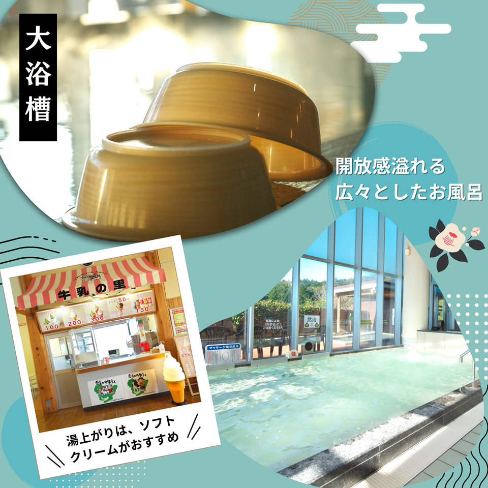 日帰り天然温泉「本宮の湯」入浴券11枚