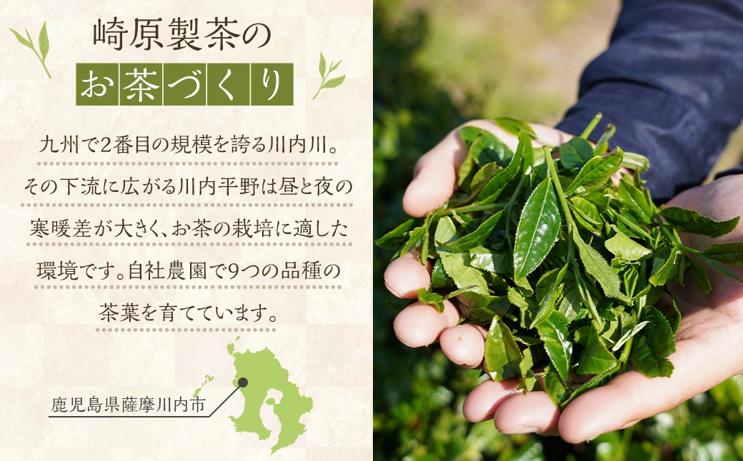 【お試し用】崎原製茶 ST1-12（12種セット）
