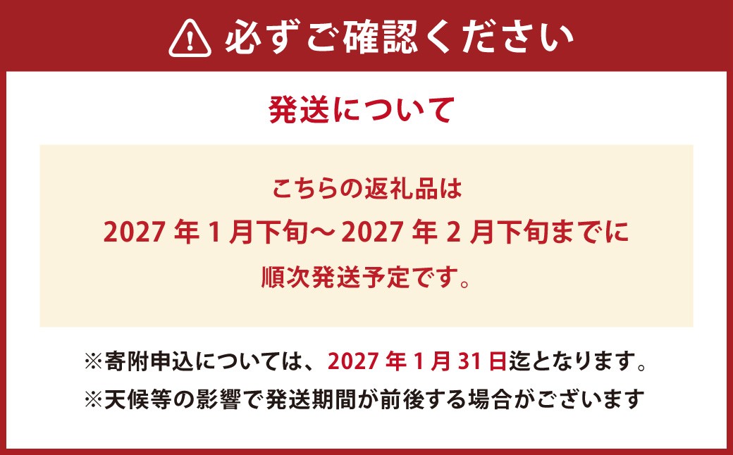 わくわくするおれんじセット