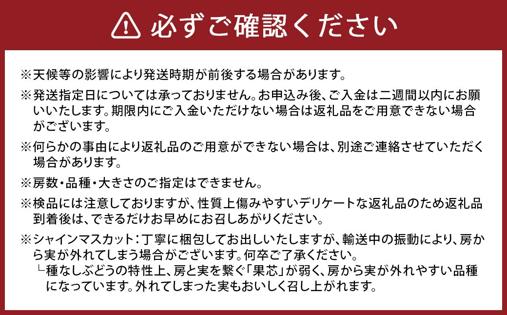 大分県産旬のフルーツ定期便