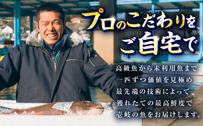 刺身 さしみ 贅沢 ご褒美 海鮮丼 お寿司 魚介 セット 食べ比べ 小分け お造