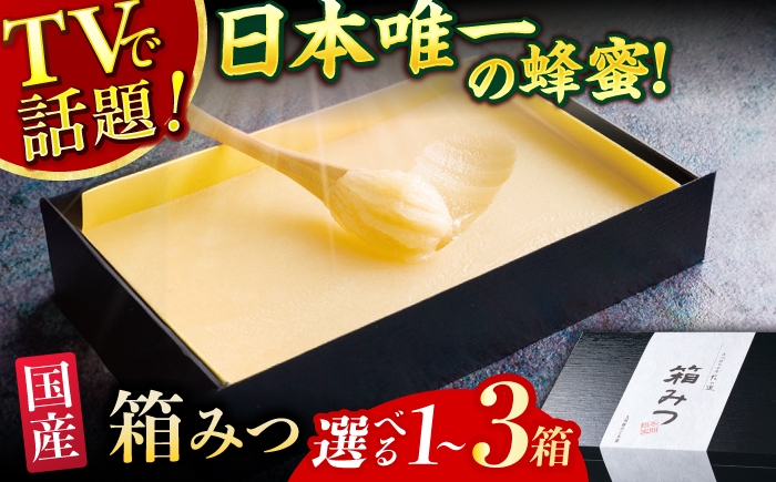 箱みつ ハチミツ はちみつ 蜂蜜 ハニー