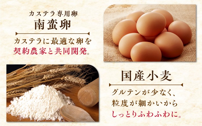 カステラ 長崎 贈答 ギフト 詰め合わせ 人気 和菓子 送料無料 常温 かすてら ざらめ ザラメ 文明堂 個包装 定期 定期便
