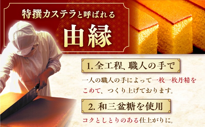 カステラ 長崎 贈答 ギフト 詰め合わせ 人気 和菓子 送料無料 常温 かすてら ざらめ ザラメ 文明堂 個包装 定期 定期便
