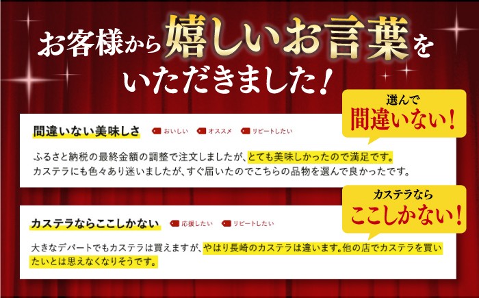 カステラ 長崎 贈答 ギフト 詰め合わせ 人気 和菓子 送料無料 常温 かすてら ざらめ ザラメ 文明堂 個包装 定期 定期便