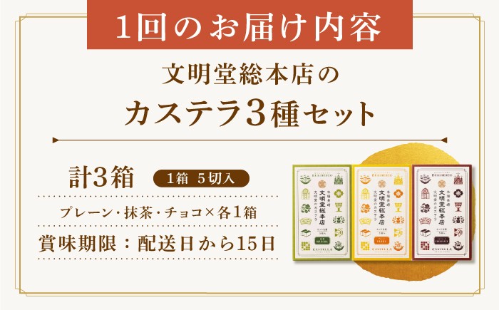 カステラ 長崎 贈答 ギフト 詰め合わせ 人気 和菓子 送料無料 常温 かすてら ざらめ ザラメ 文明堂 個包装 定期 定期便