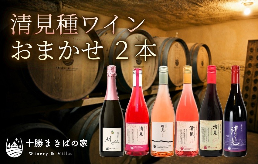 程よい酸味が軽快さを与え、同時に豊かな旨味を感じさせます