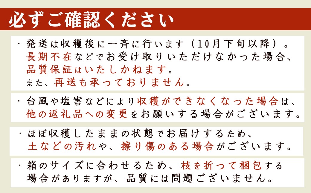 お申込み前に必ずご確認ください。