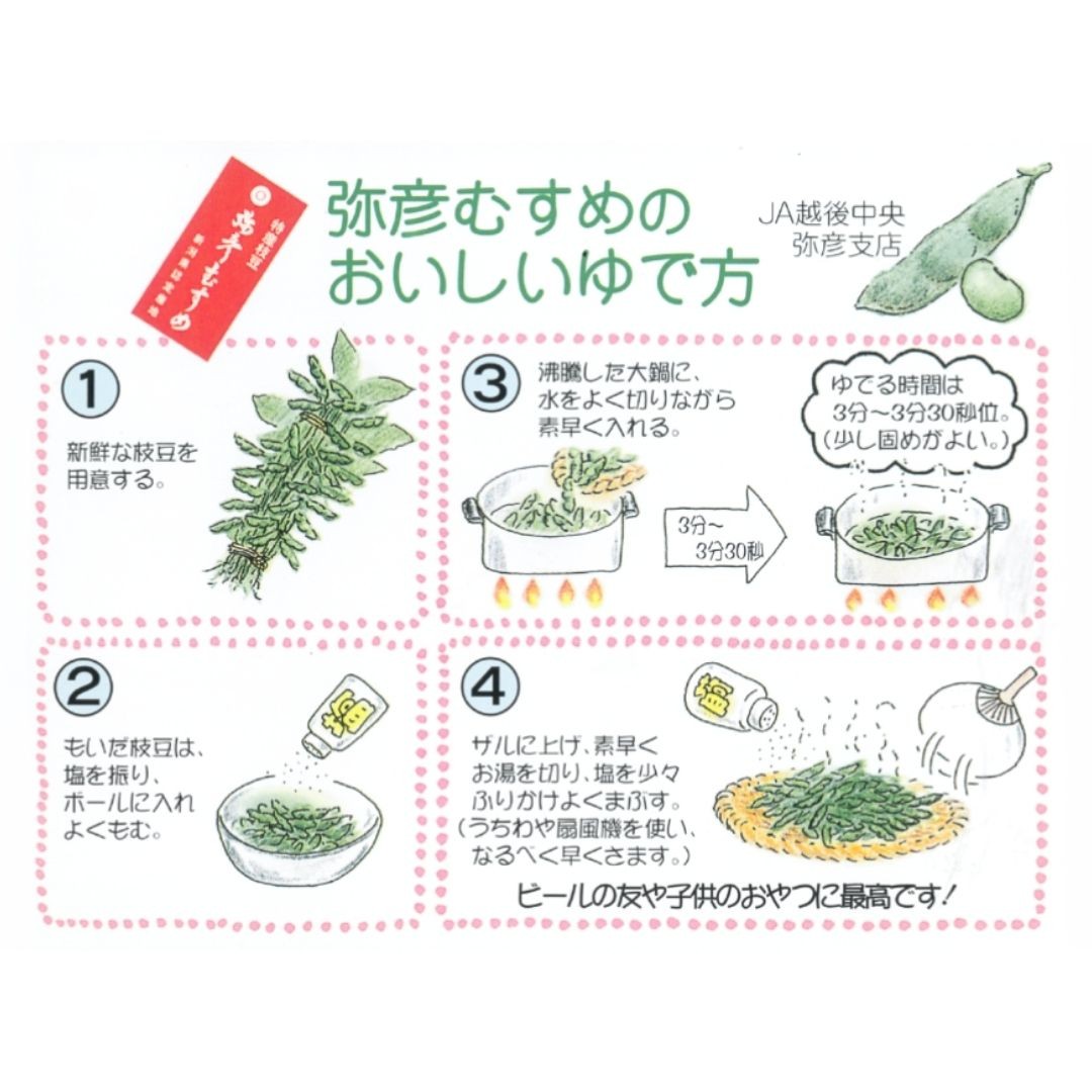 弥彦村産「弥彦むすめ」枝付き枝豆 2把 約1kg