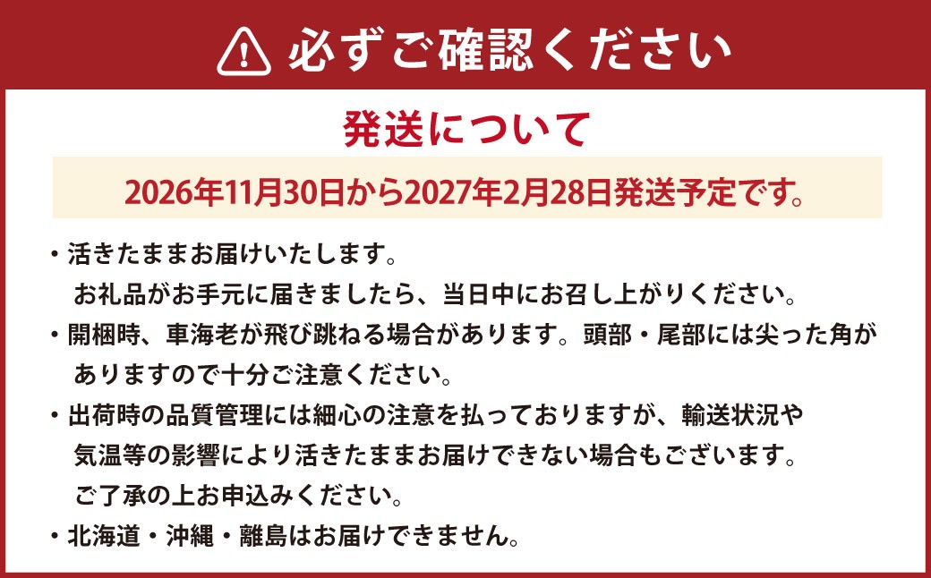 原点の車海老 250g （8～10尾）