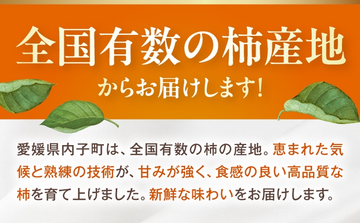 柿 かき カキ 太秋柿 フルーツ fruit 果物 くだもの 旬 甘い 国産 産地直送 ギフト 贈り物 プレゼント 贈答品