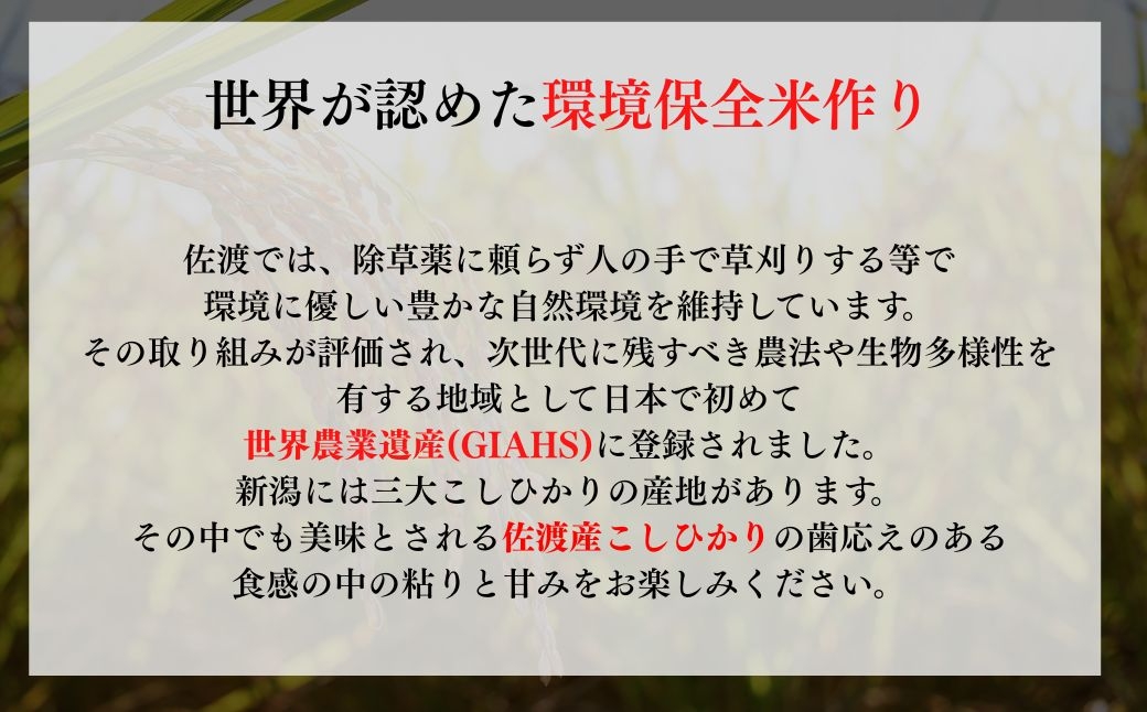精米したての状態のまま、開ける日を待っている