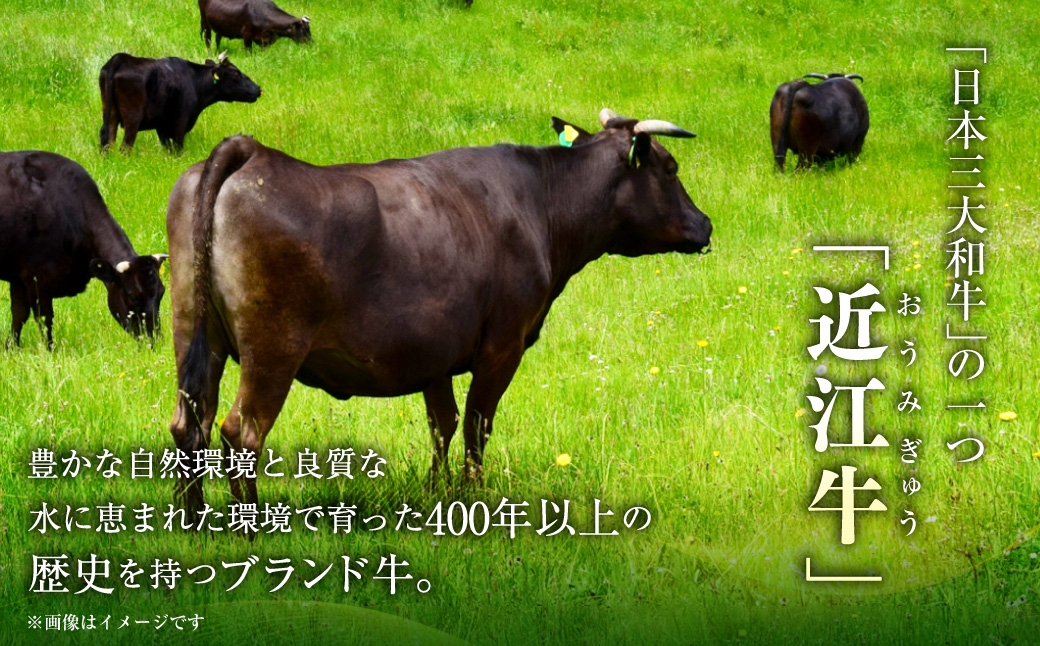 近江牛焼肉食べ比べセット500g