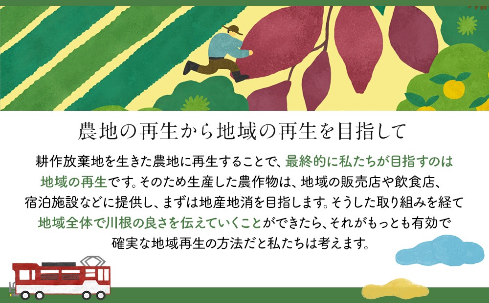 川根の丸干しいも