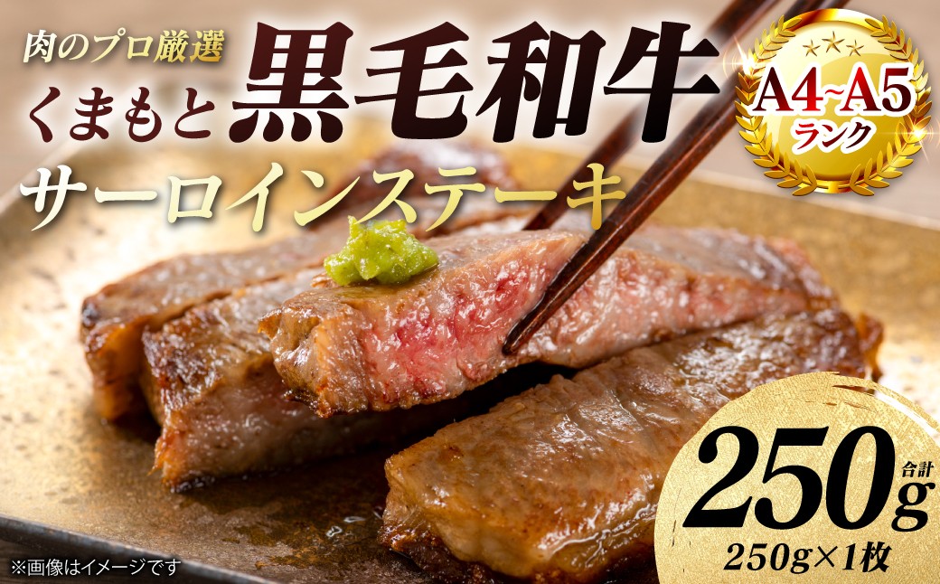 【A4～A5ランク】くまもと黒毛和牛 サーロイン ステーキ 250g