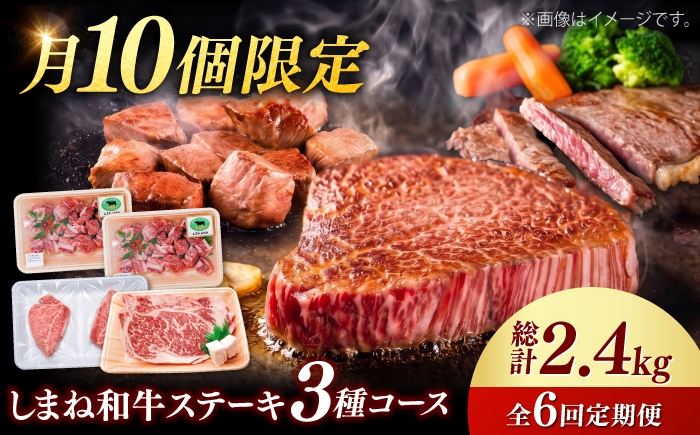 牛肉 定期便 シャトーブリアン サイコロステーキ サーロインステーキ