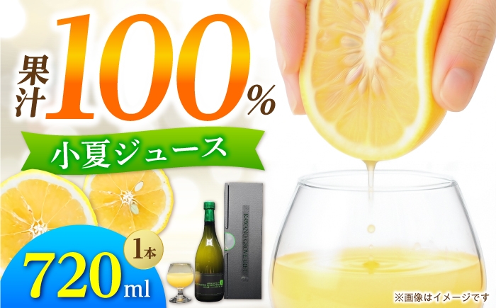ジュース 果物 フルーツ フルーツジュース お取り寄せ ドリンク