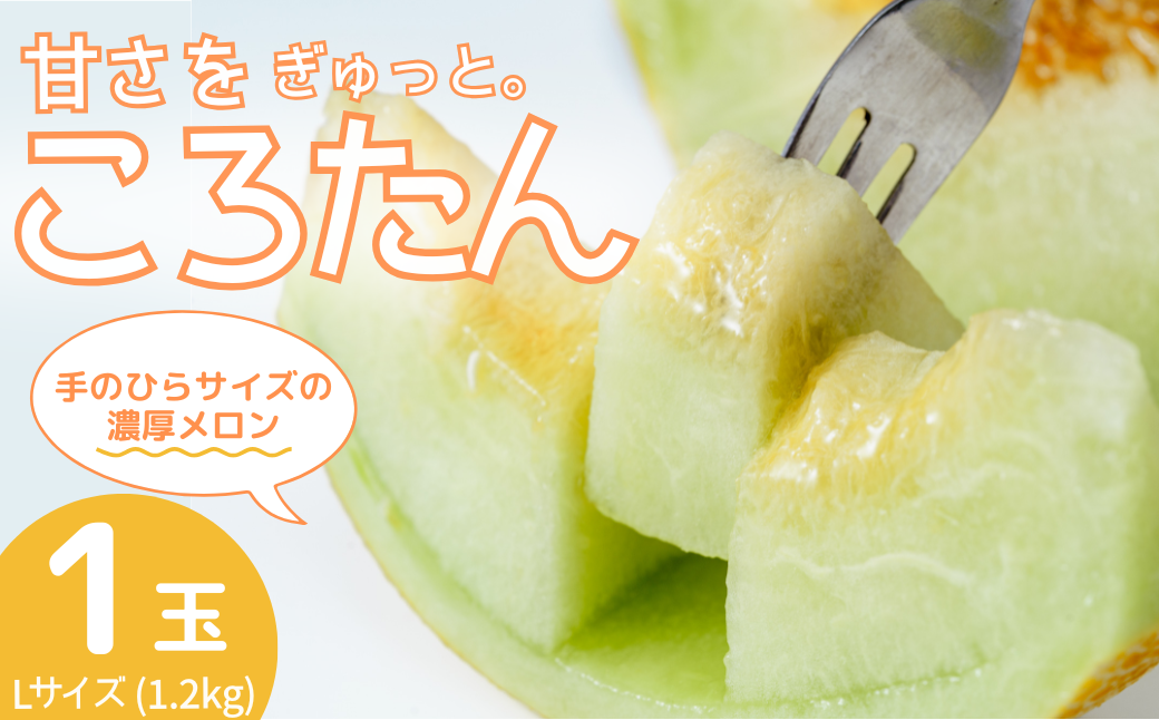 メロン ころたん めろん コロタン フルーツ 果物 1玉
