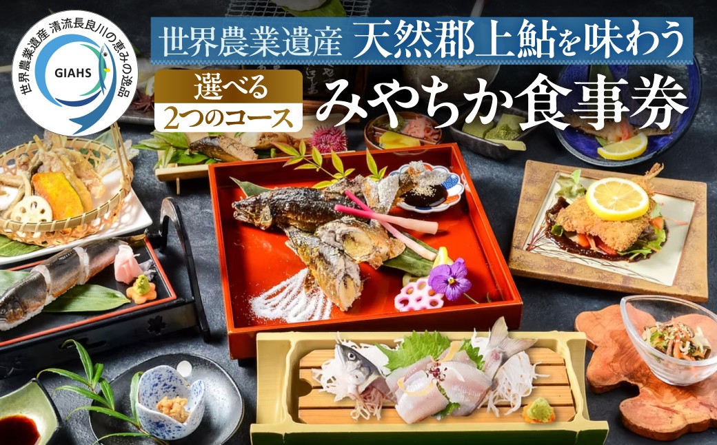 長良川の清流が育んだ天然郡上鮎を、選べる2つのコースで味わう特別なお食事券。