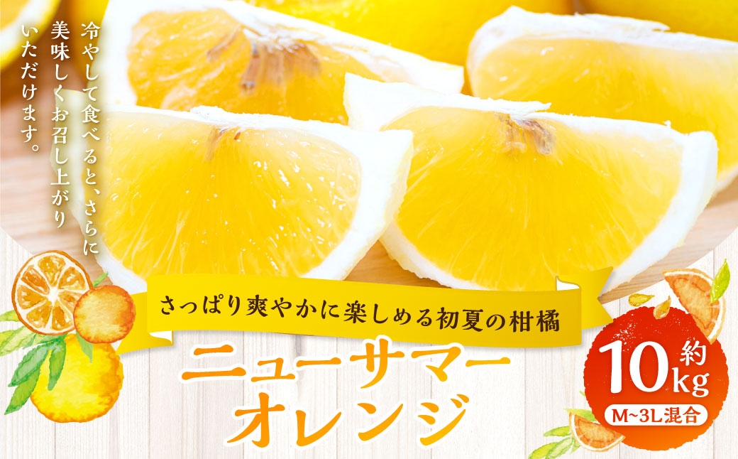 ニューサマーオレンジ約10kg